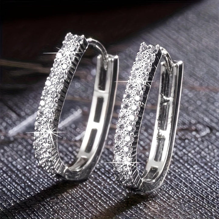 Elegante Circulaire Zirkonia Oorbellen